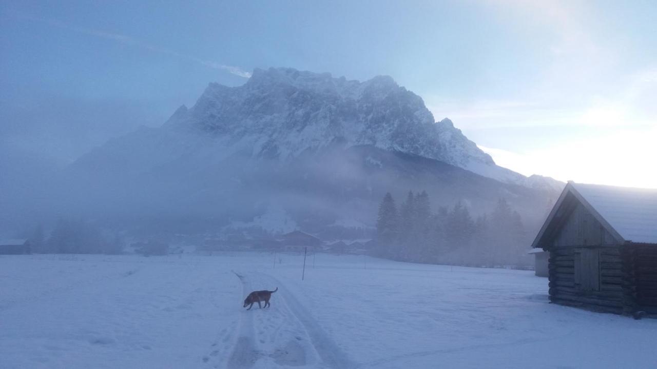 Tyrol Appartements Ehrwald Bagian luar foto