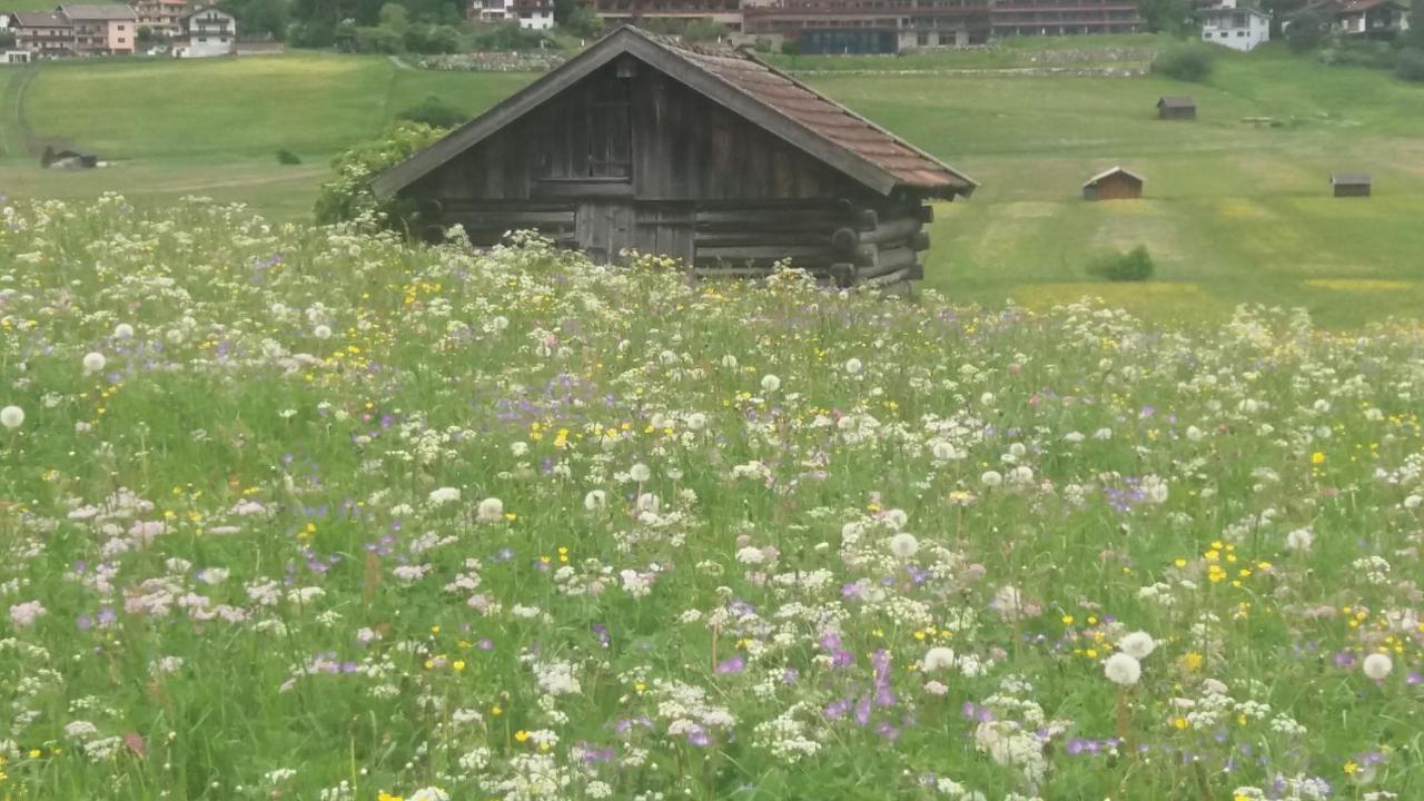 Tyrol Appartements Ehrwald Bagian luar foto