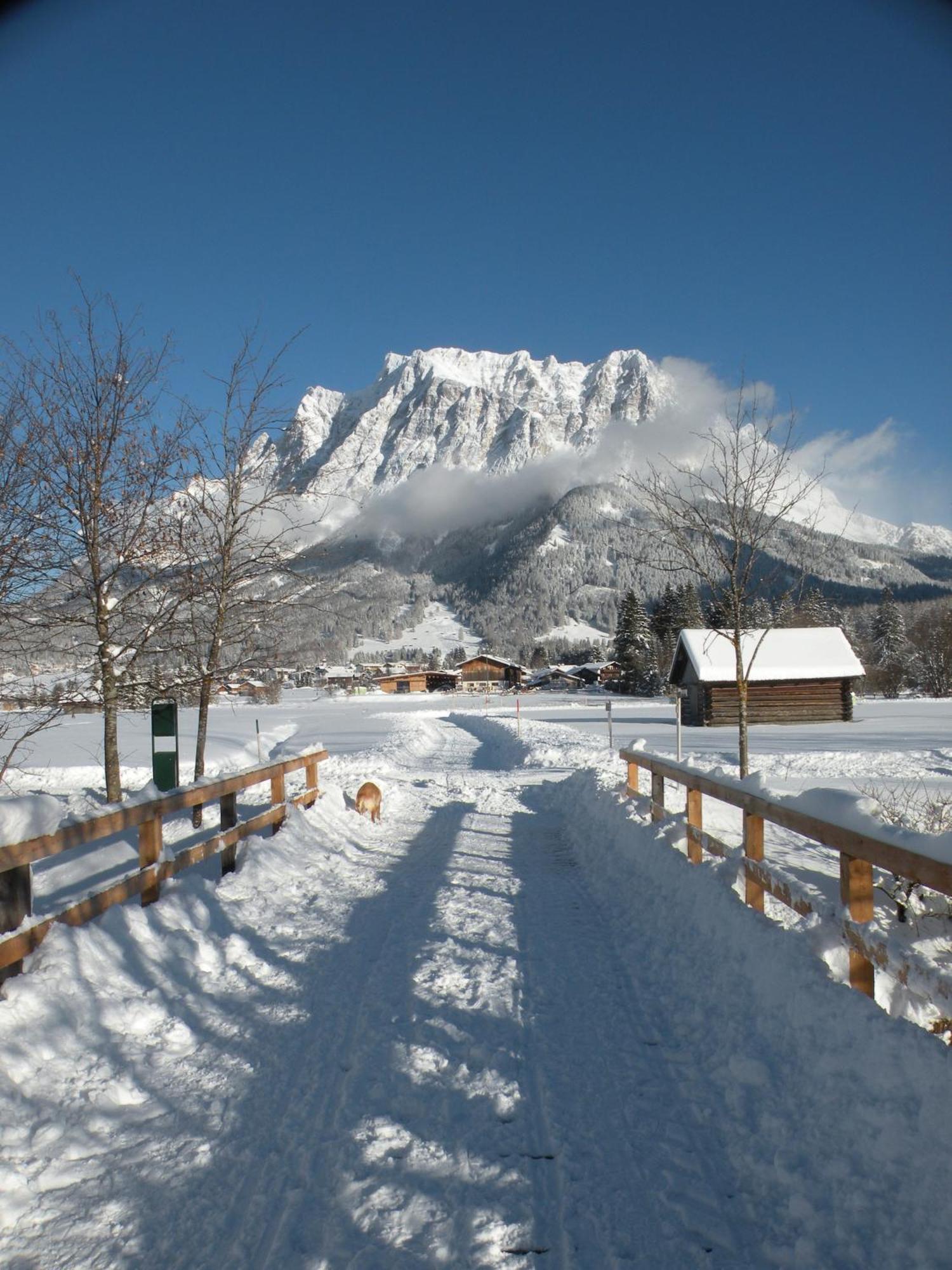 Tyrol Appartements Ehrwald Bagian luar foto